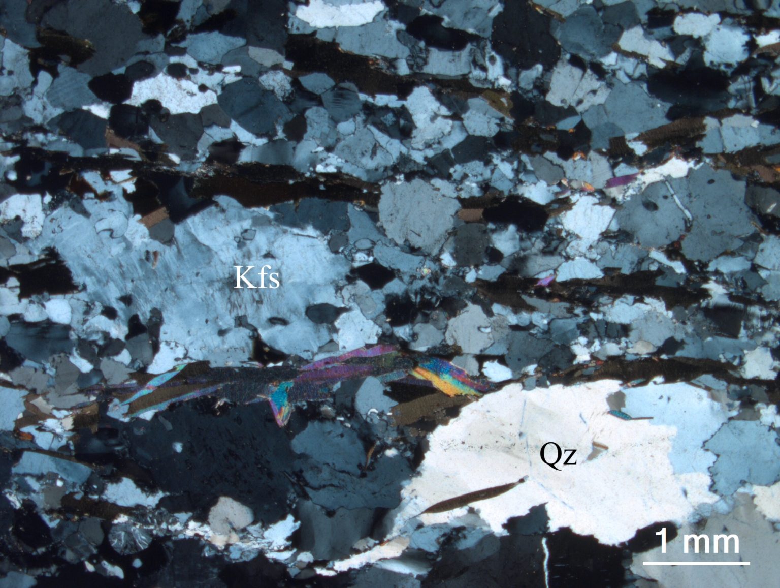 Cuscinetto A Sfere - 6800ZZ - Shanghai SXD Precision Bearing - Foto 5